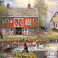 Reflections on Country Living