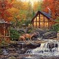 The Colors of Life