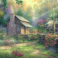 Woodland Oasis